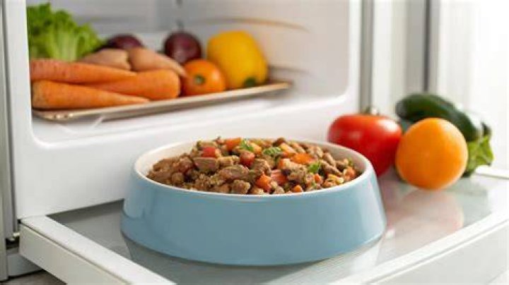 How Long Will homemade dog food last in the fridge?