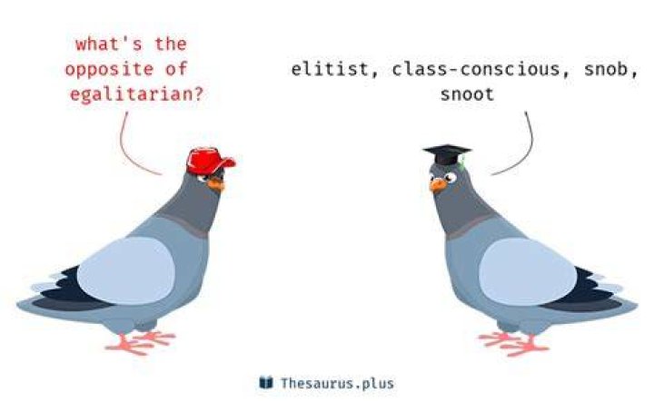 What is the opposite of egalitarian?